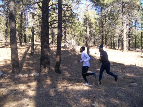 work out in the woods